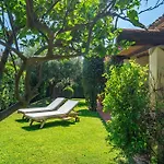 Ulivo - Di Porto Giunco A Piedi Villa