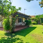 Ulivo - Di Porto Giunco A Piedi