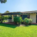 Ulivo - Di Porto Giunco A Piedi