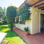 Ulivo - Di Porto Giunco A Piedi Villa Notteri
