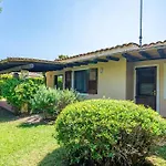 Ulivo - Di Porto Giunco A Piedi Notteri