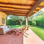 Ulivo - Di Porto Giunco A Piedi Notteri