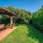 Ulivo - Di Porto Giunco A Piedi Villa Notteri