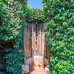 Ulivo - Di Porto Giunco A Piedi Villa Notteri