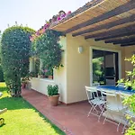 Ulivo - Di Porto Giunco A Piedi