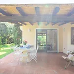 Ulivo - Di Porto Giunco A Piedi *