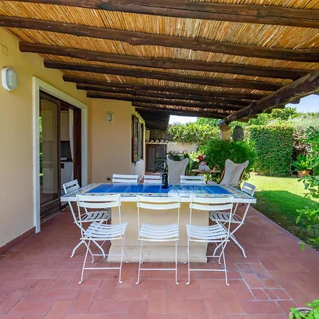 Ulivo - Di Porto Giunco A Piedi Villa Notteri