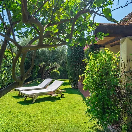 Ulivo - Di Porto Giunco A Piedi Villa