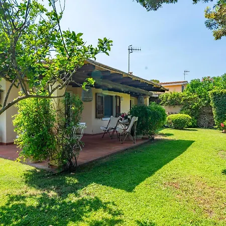 Ulivo - Di Porto Giunco A Piedi