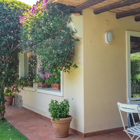 Ulivo - Di Porto Giunco A Piedi Villa *