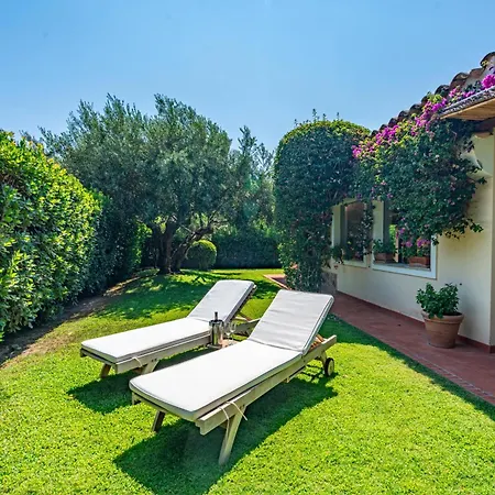 Ulivo - Di Porto Giunco A Piedi Villa Notteri