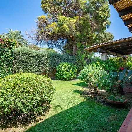 Ulivo - Di Porto Giunco A Piedi Villa