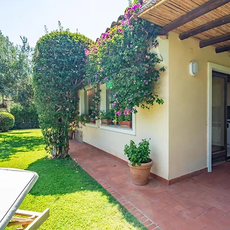 Ulivo - Di Porto Giunco A Piedi Villa Notteri
