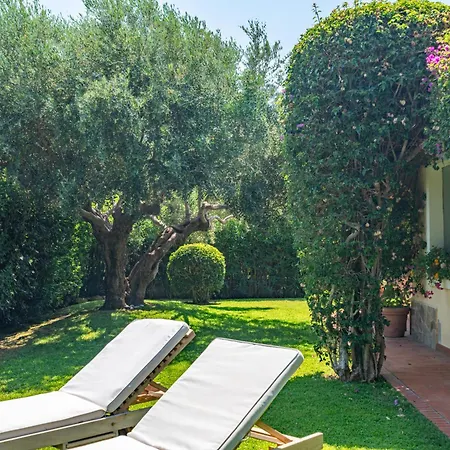 Ulivo - Di Porto Giunco A Piedi Villa Notteri