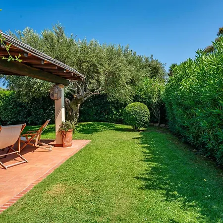 Ulivo - Di Porto Giunco A Piedi Villa Notteri