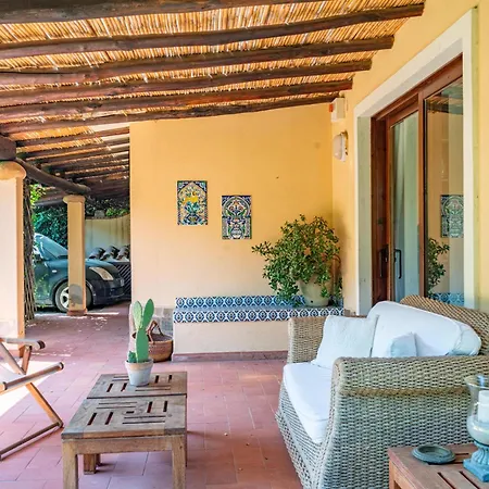Ulivo - Di Porto Giunco A Piedi Villa Notteri
