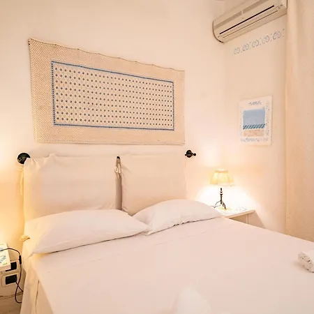 Ulivo - Di Porto Giunco A Piedi Villa Notteri