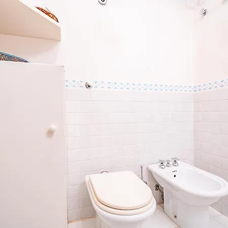 Ulivo - Di Porto Giunco A Piedi Villa Notteri